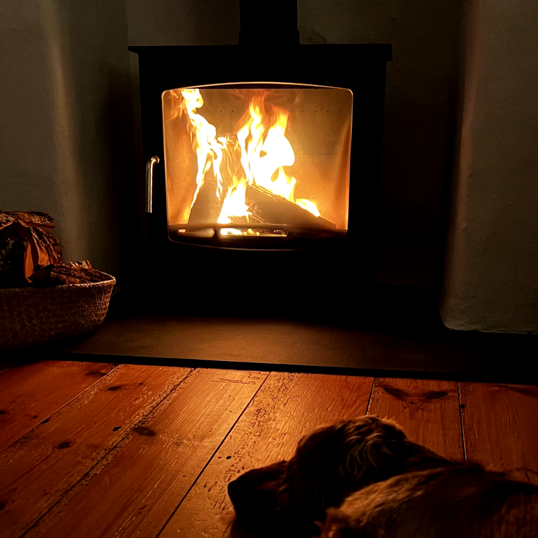 Wood burning stove in the lounge