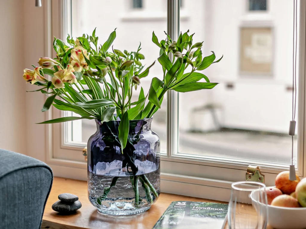 Flowers on the lounge windowsill overlooking Porthleven